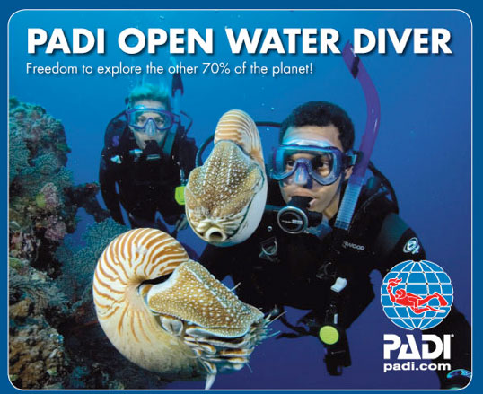 PADI Open Water Referral Diver